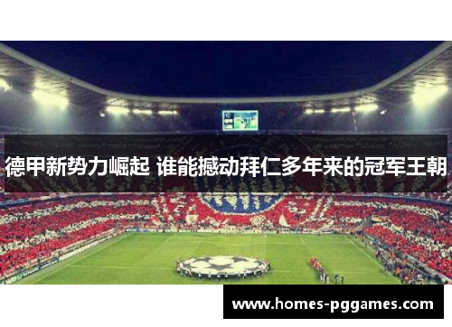 德甲新势力崛起 谁能撼动拜仁多年来的冠军王朝