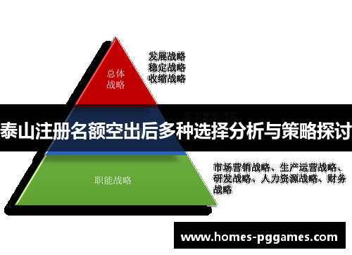 泰山注册名额空出后多种选择分析与策略探讨